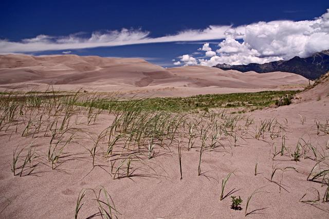 106 great sand dunes national park.JPG
